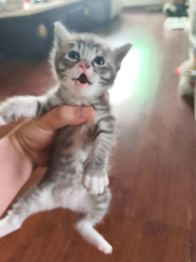 #
