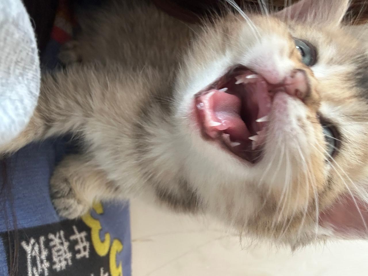 #
