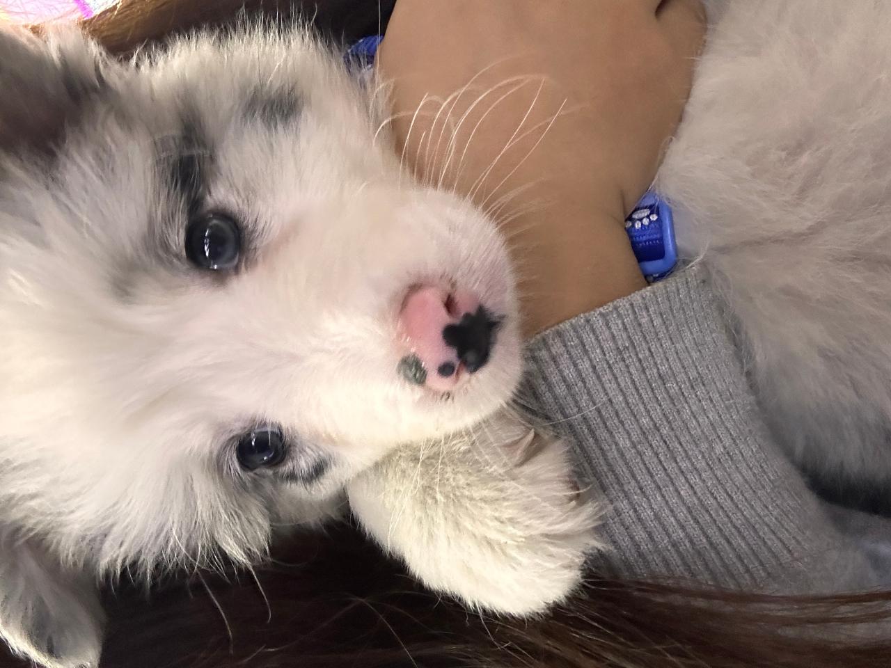 #