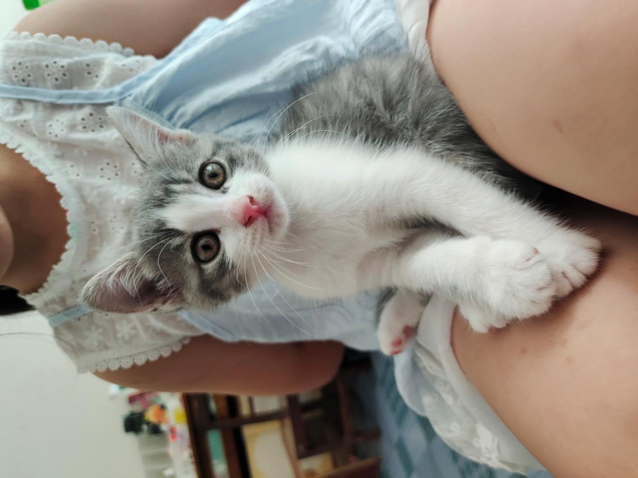 #