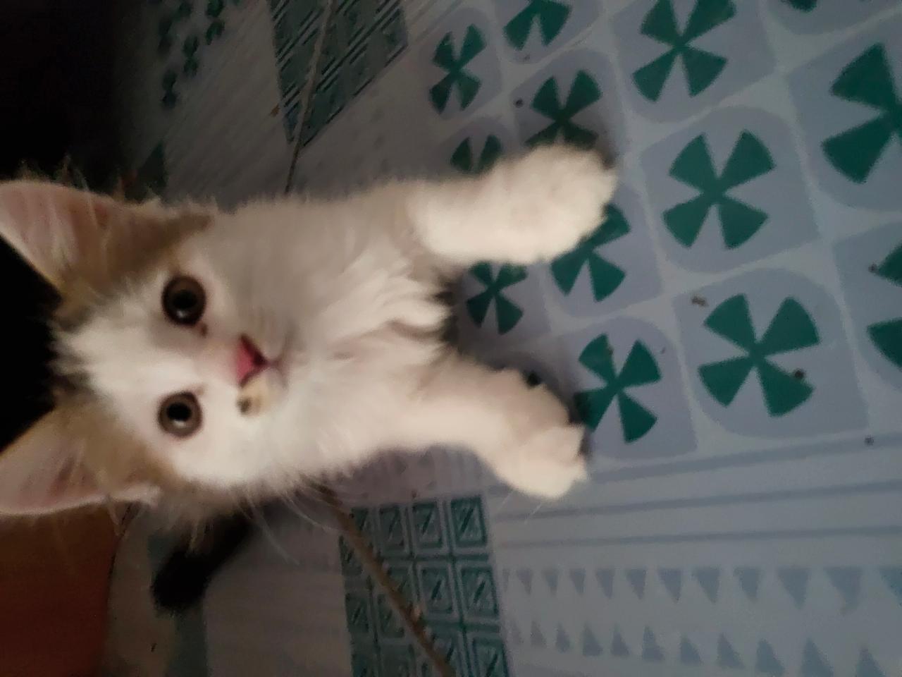 #