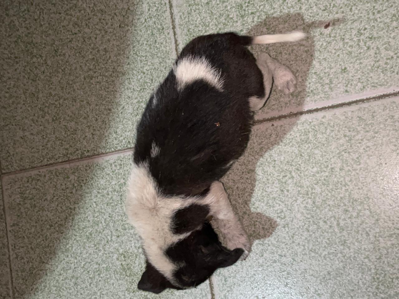 #