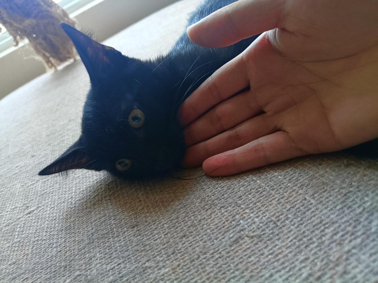 #