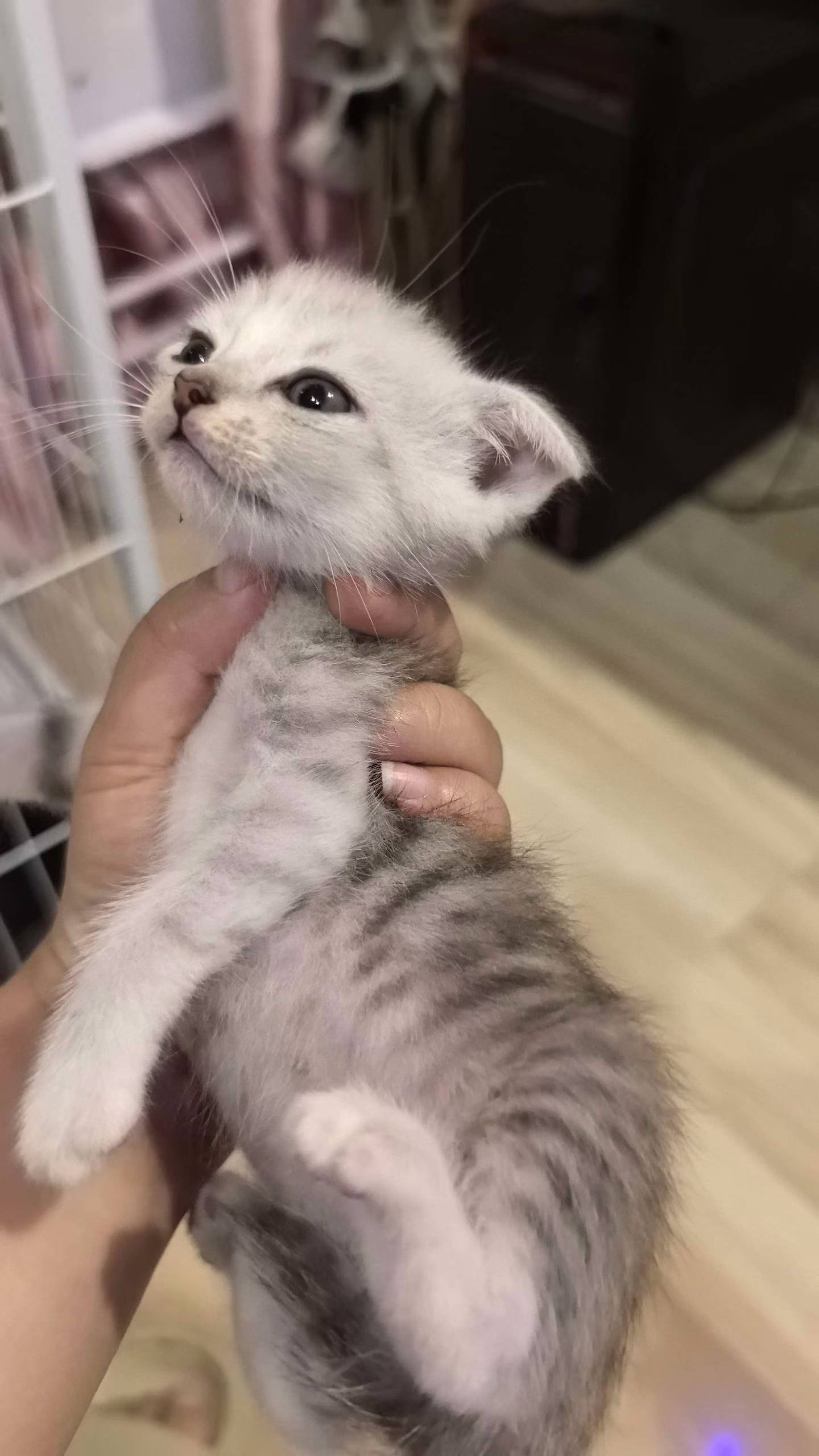 #