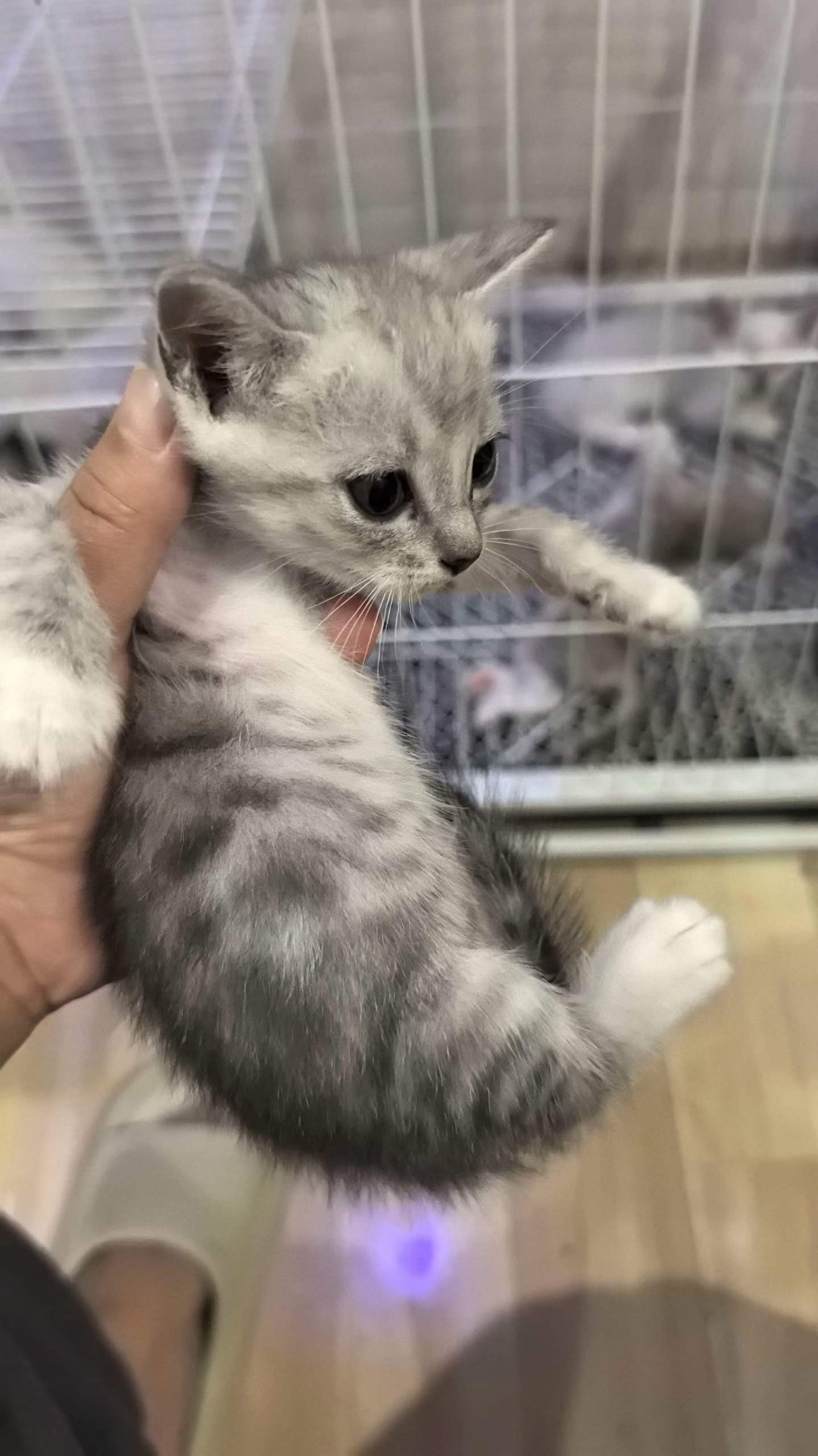 #