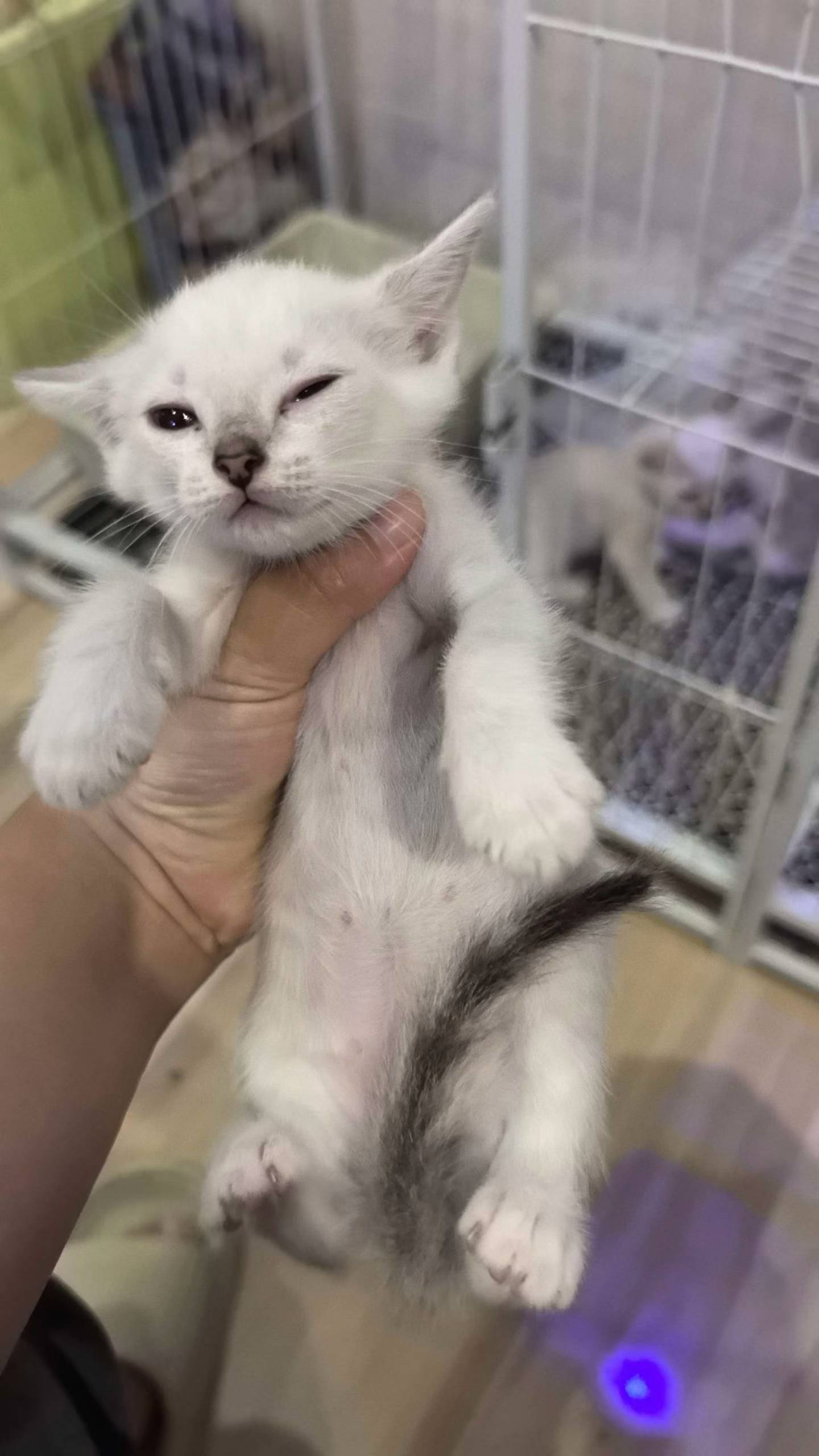 #
