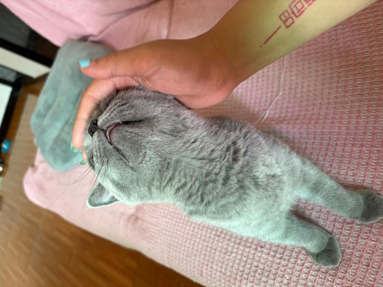 #