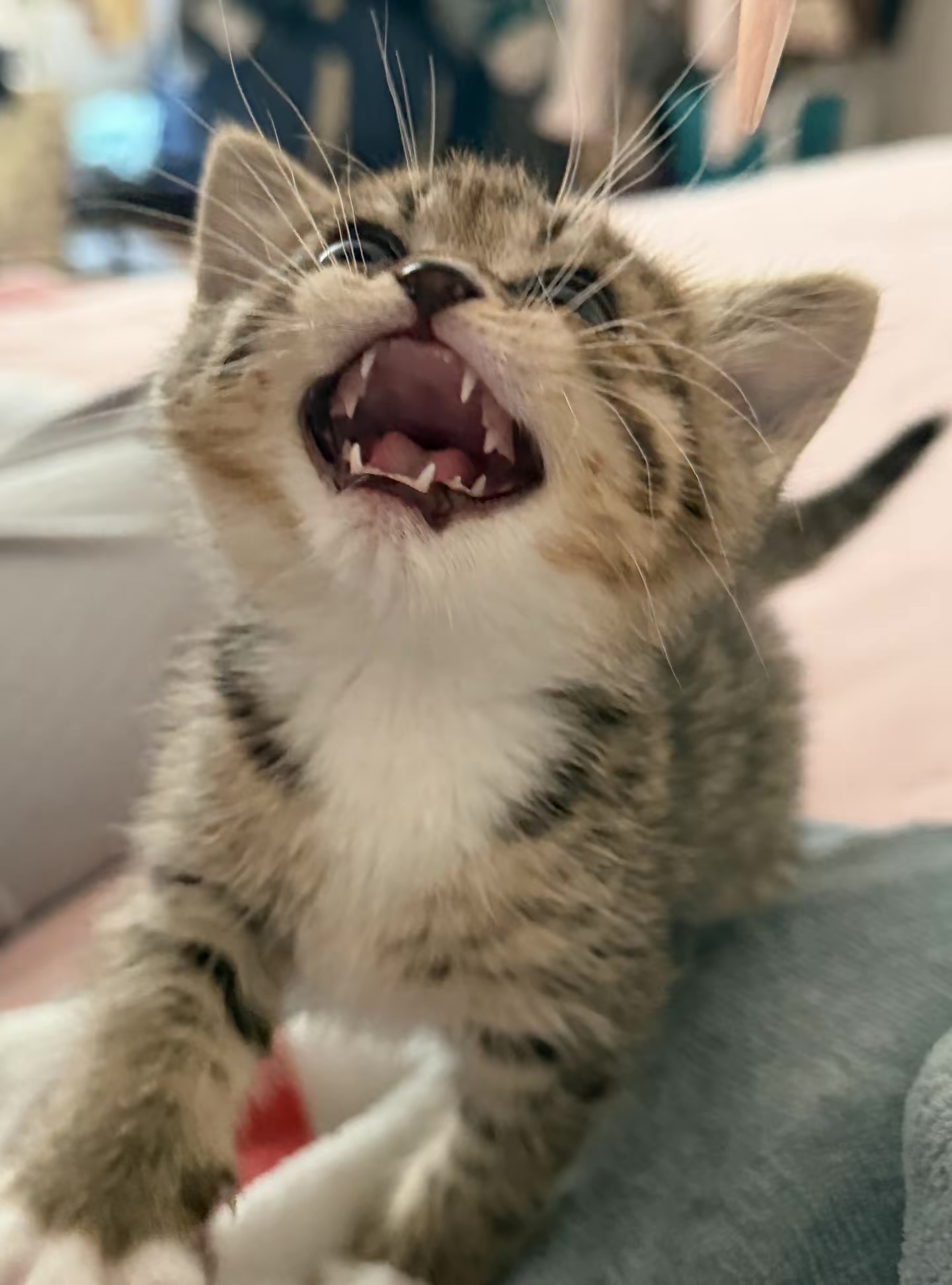 #