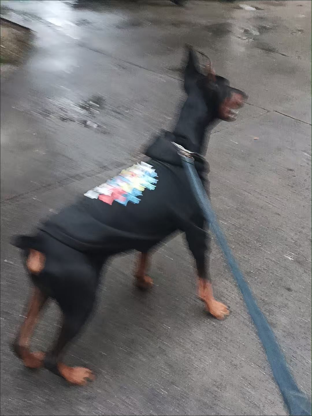 #