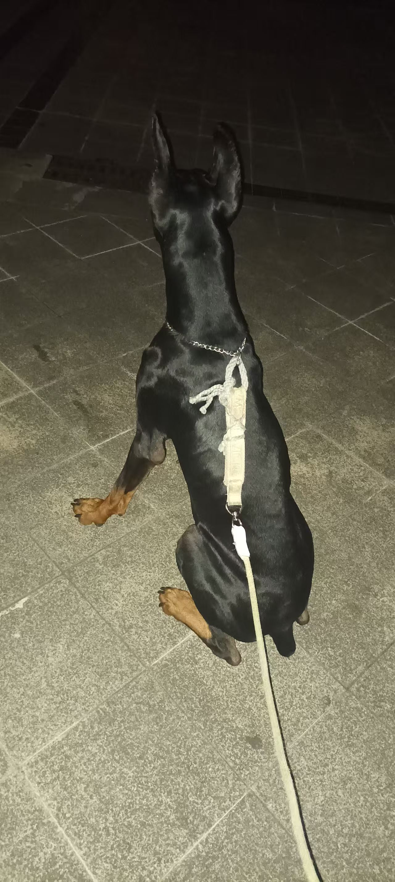 #