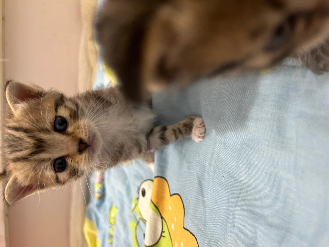 #