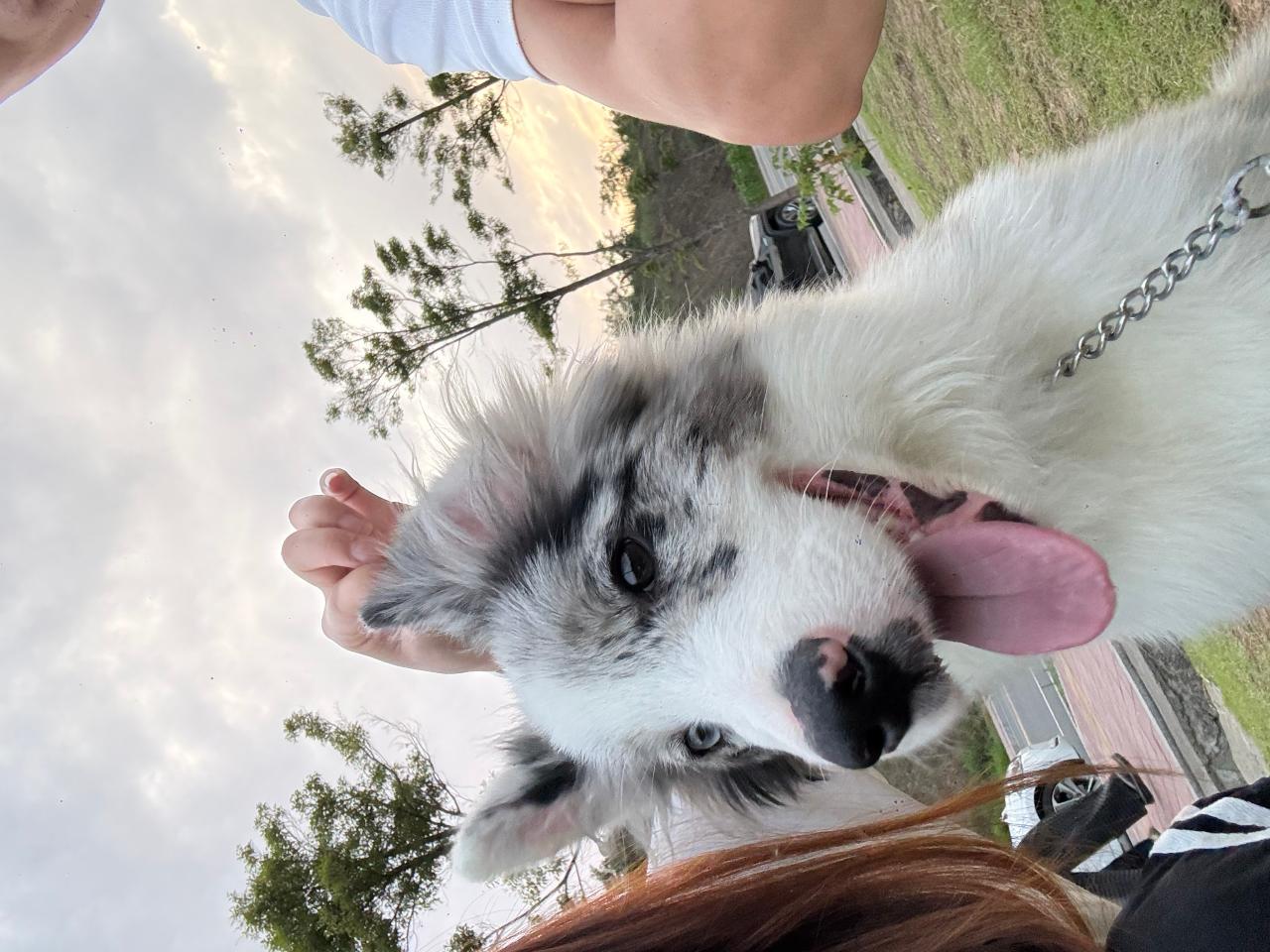 #