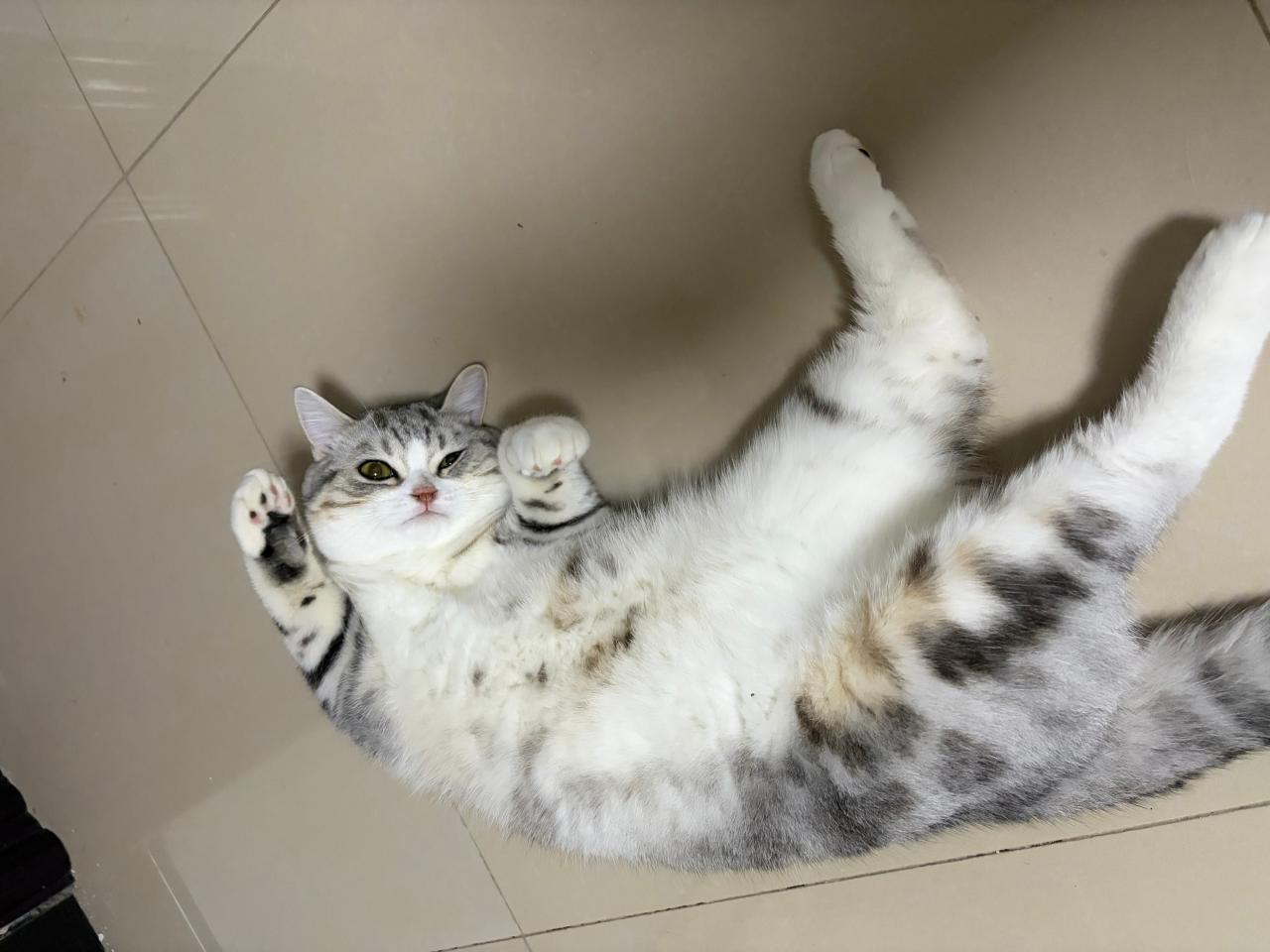 #