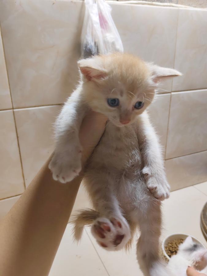 #