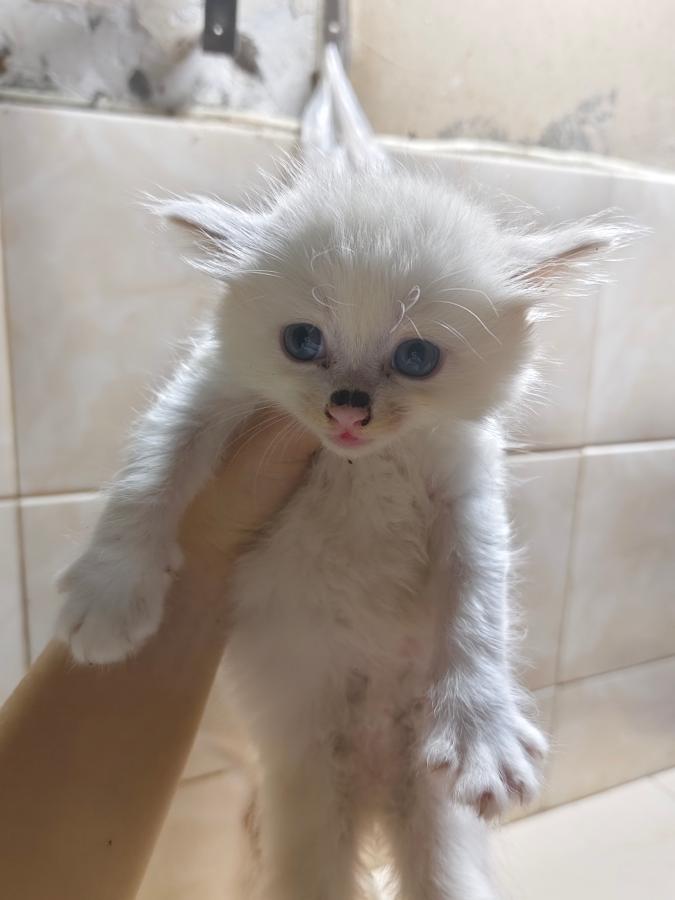 #