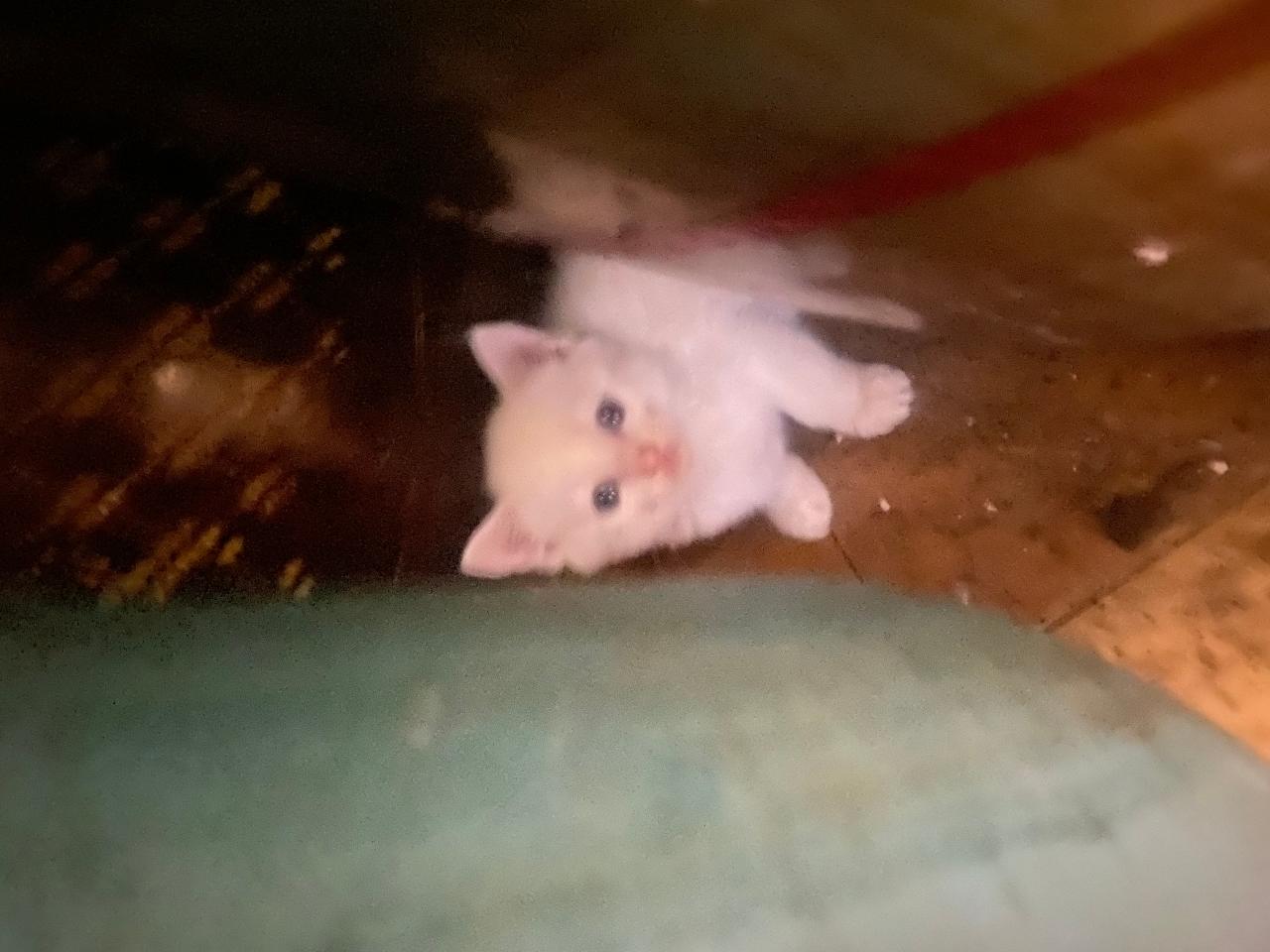 #