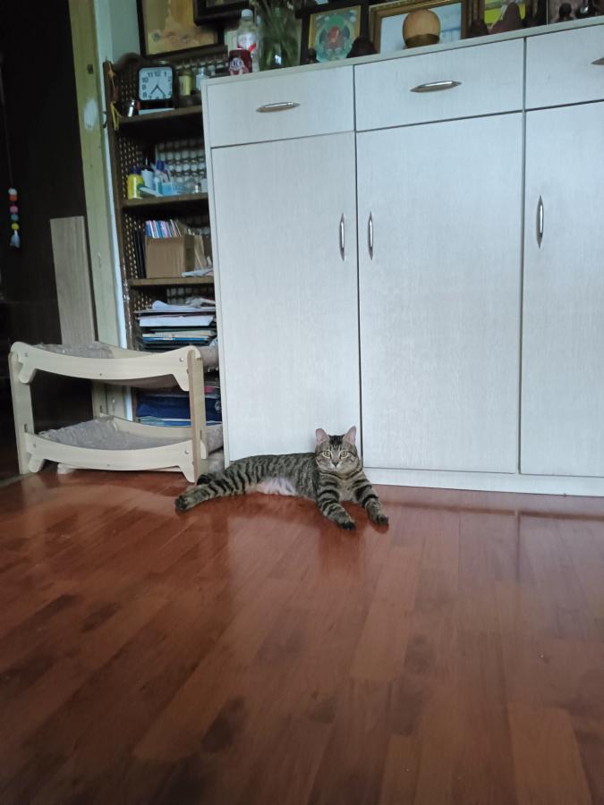 #