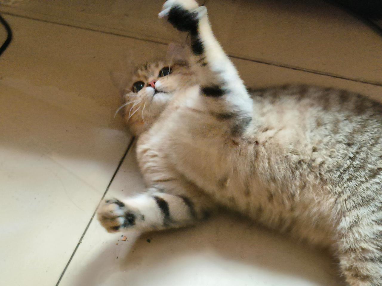 #