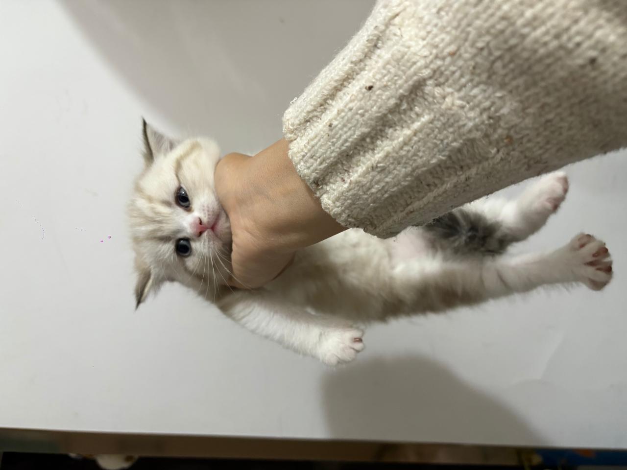 #