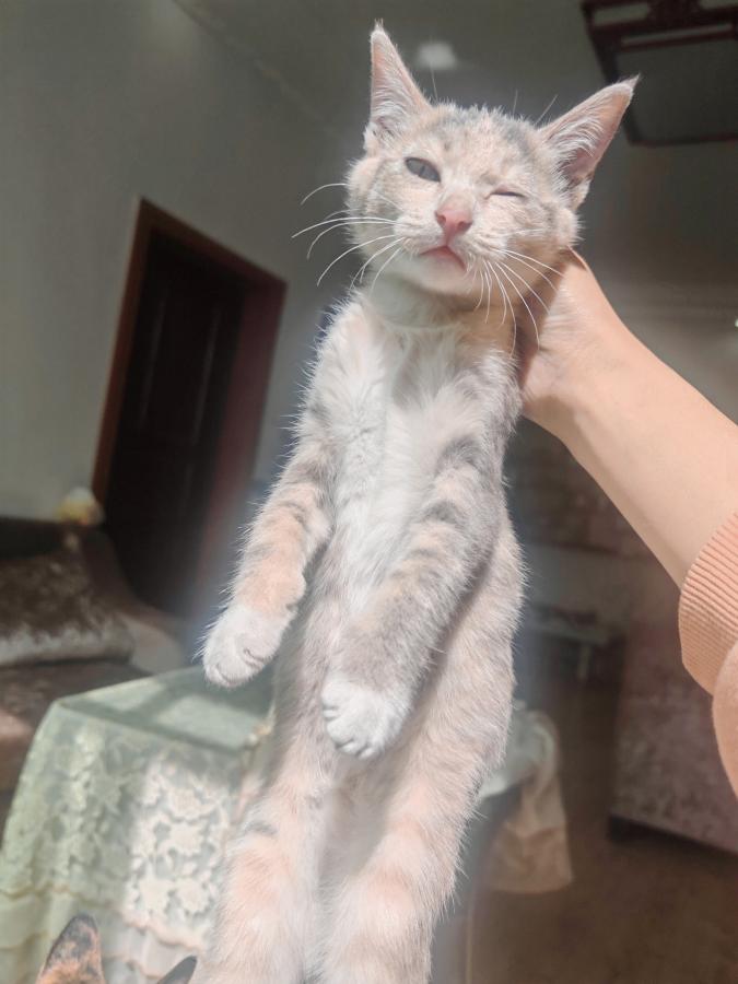 #