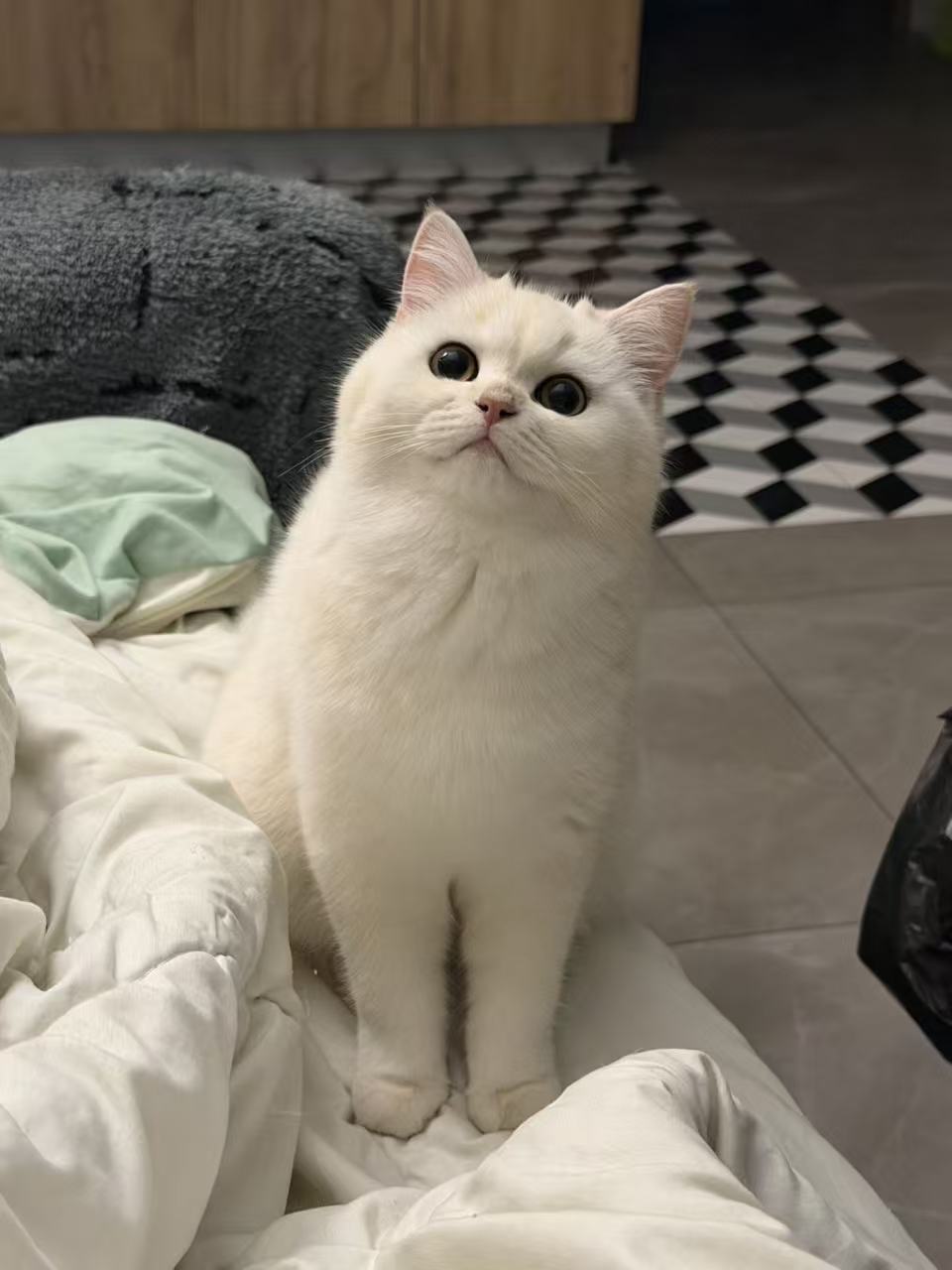 #