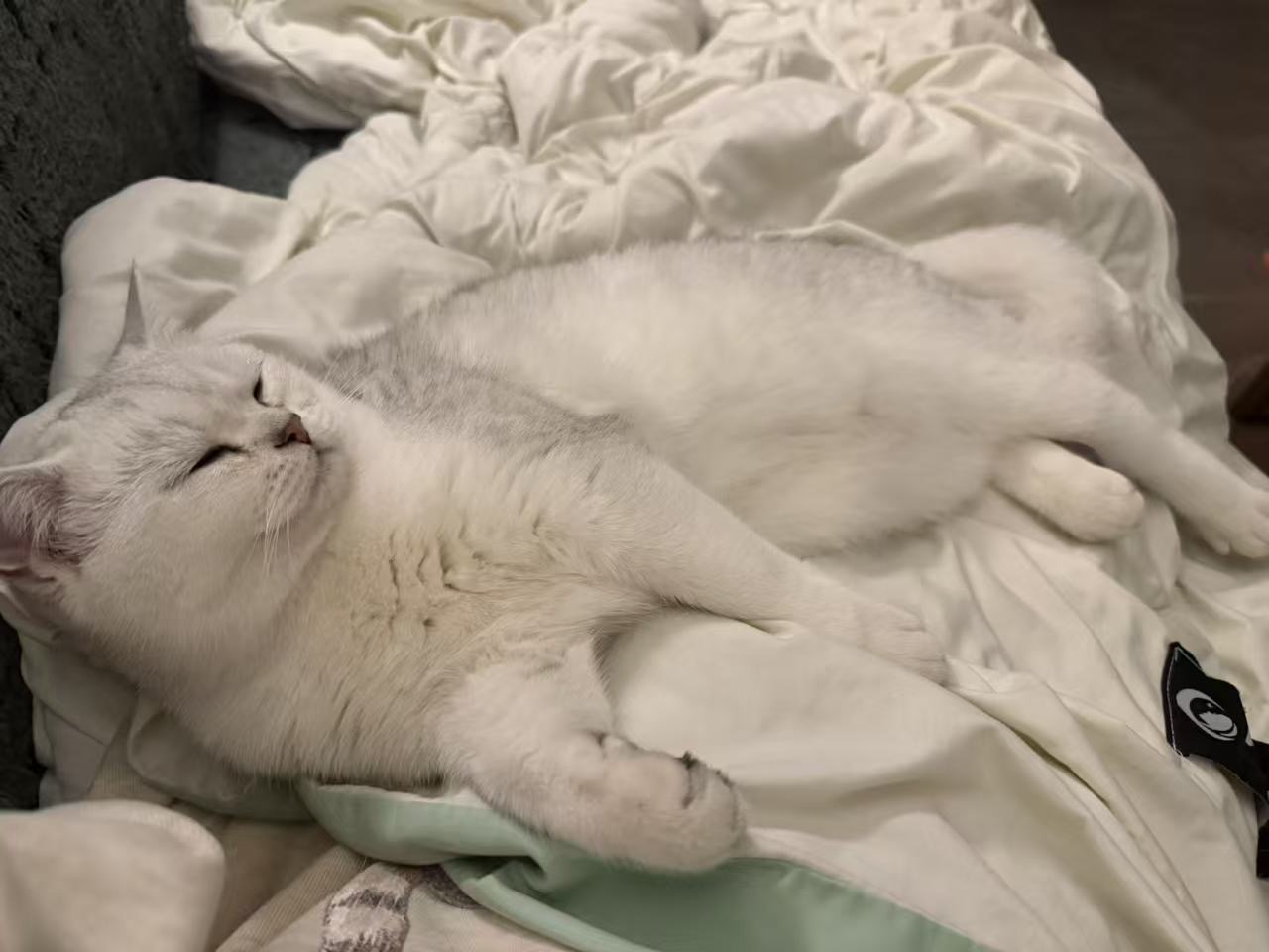 #