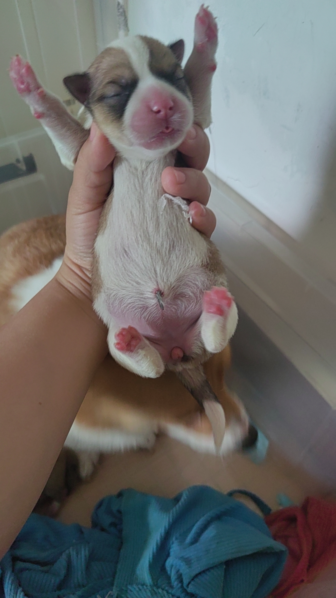 #