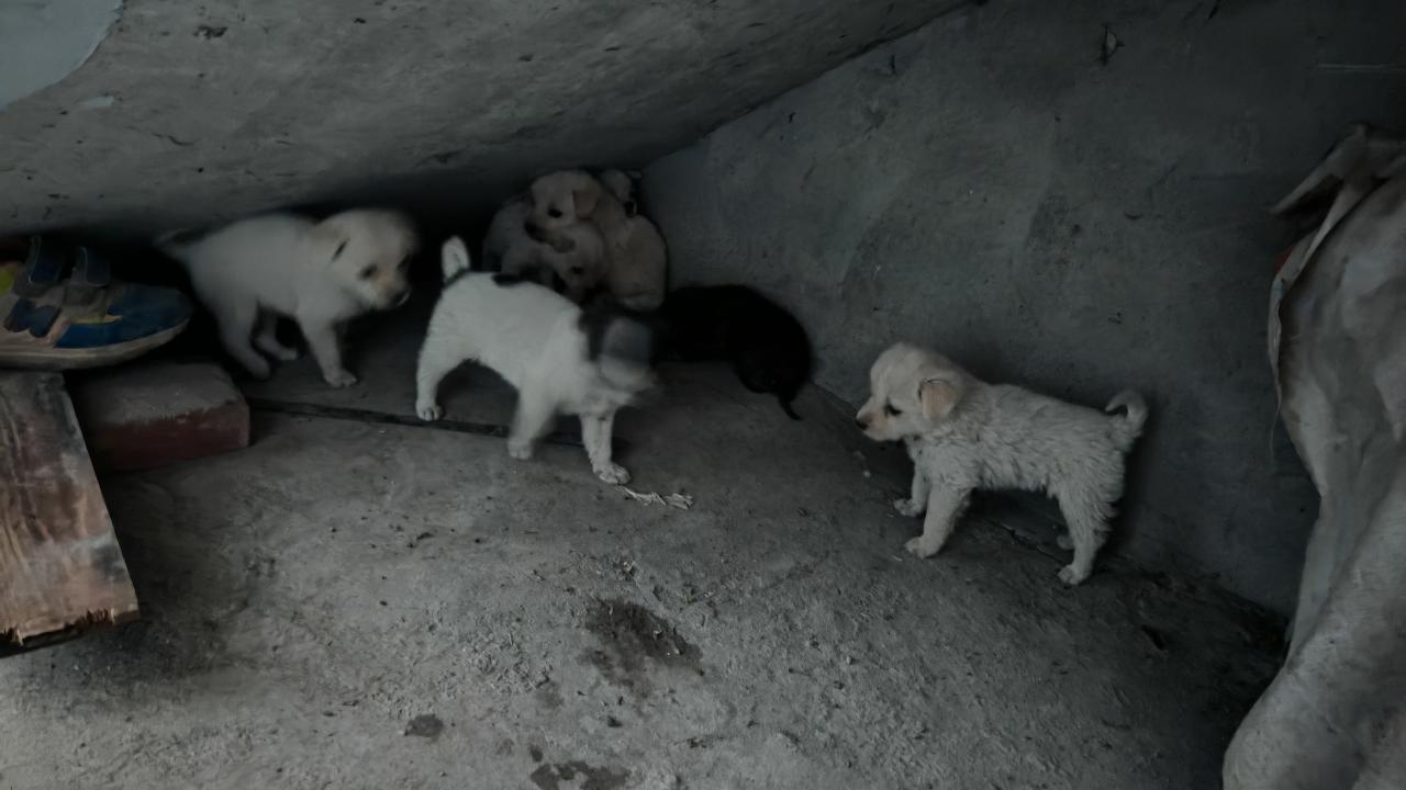 #