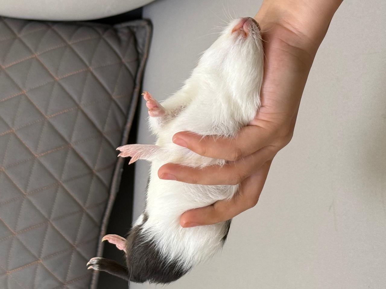 #