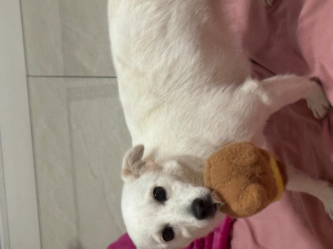 #