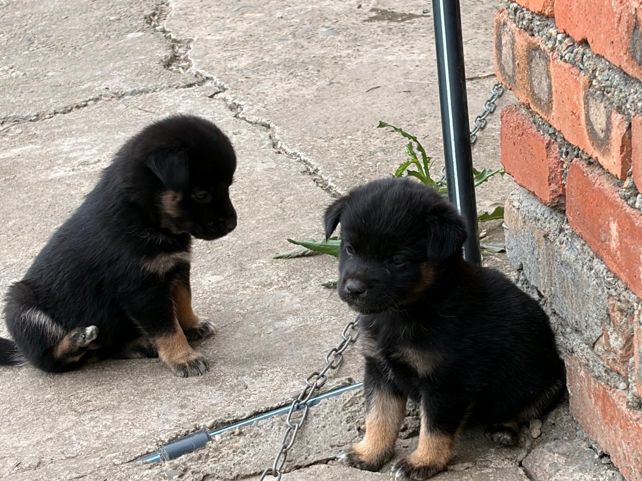 #