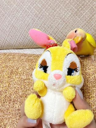 小宠·牡丹鹦鹉·桃子