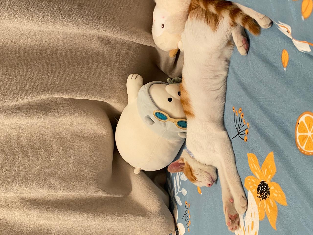 #