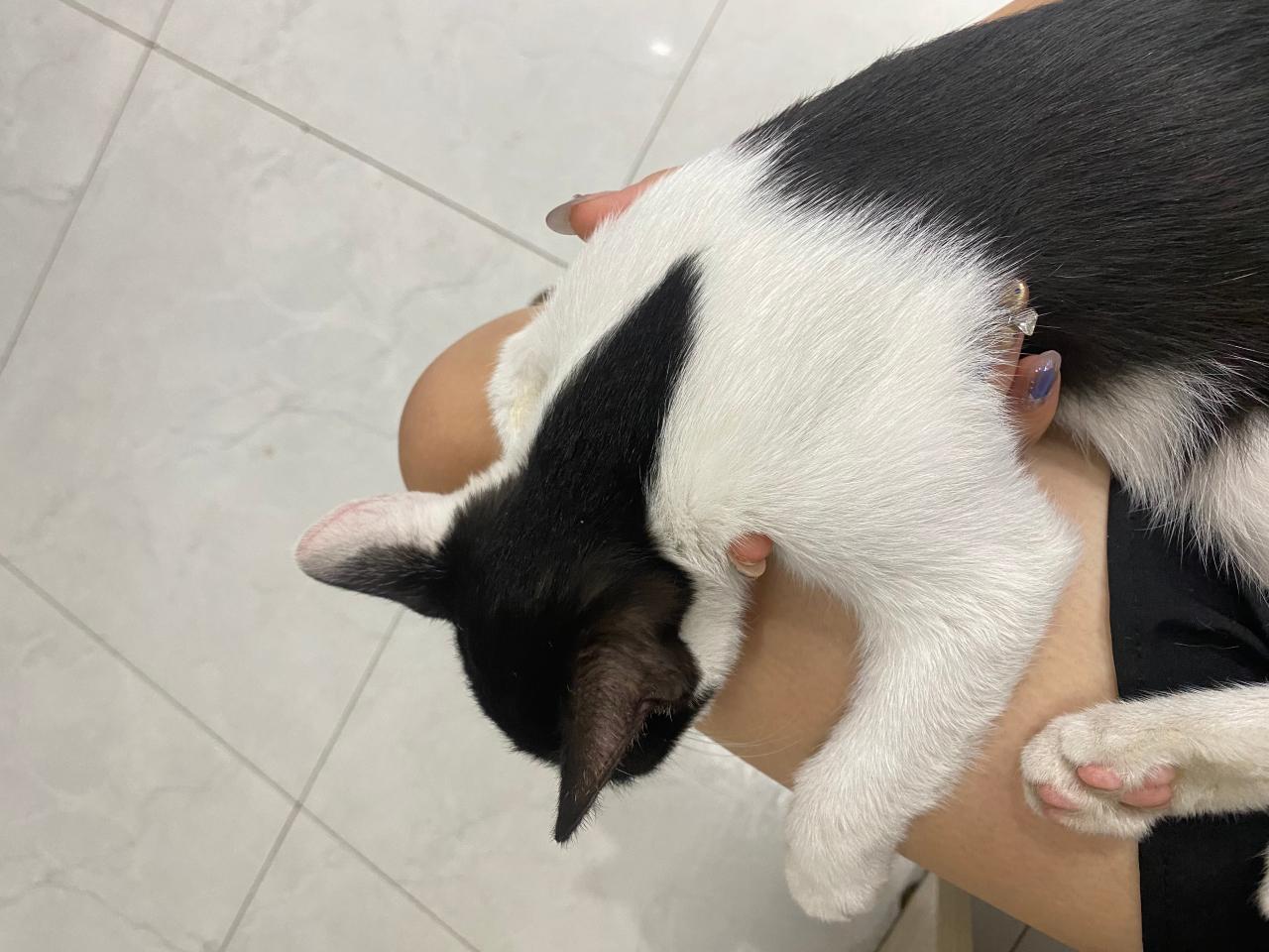 #