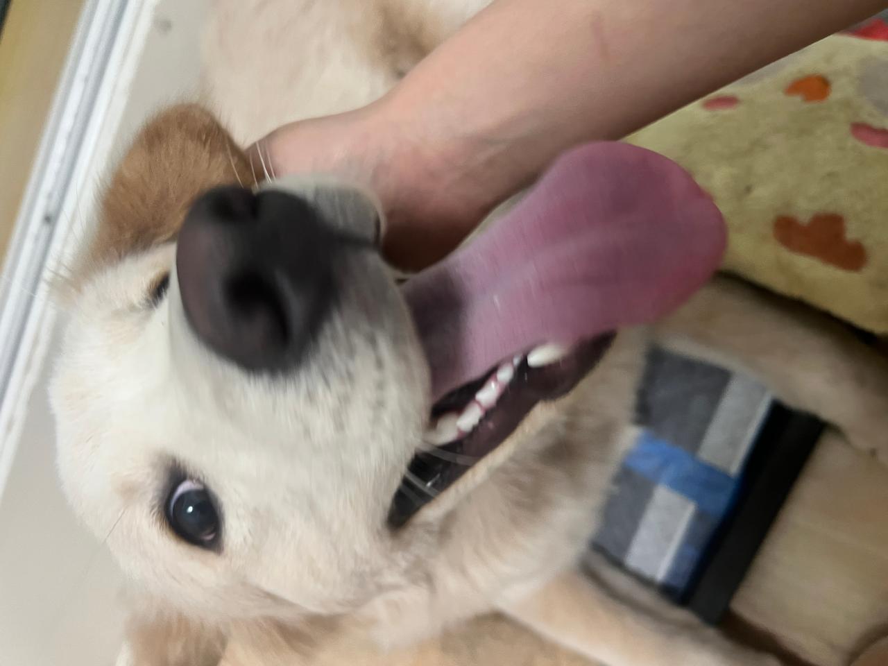#