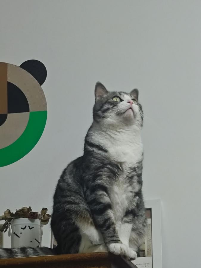 #