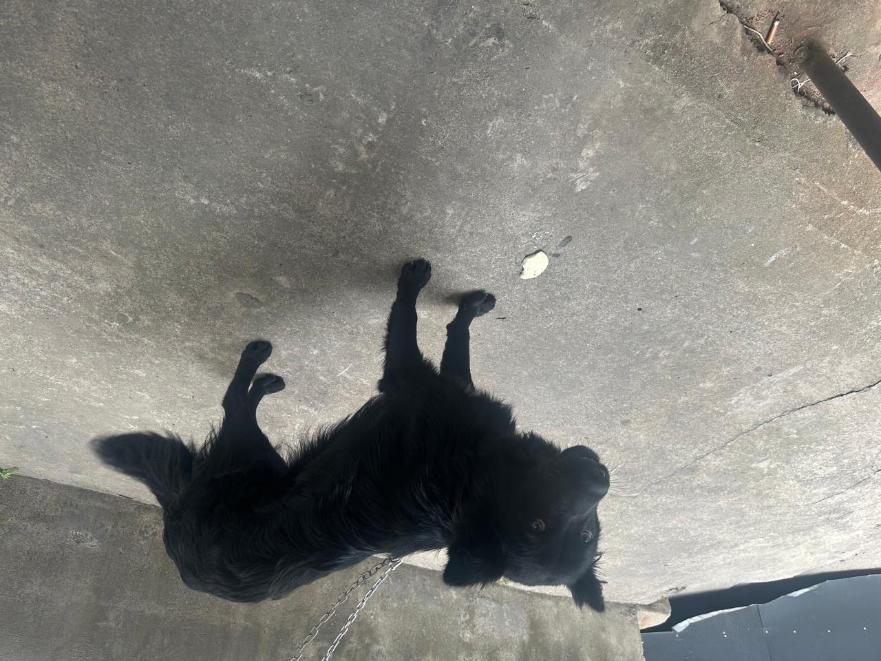 #
