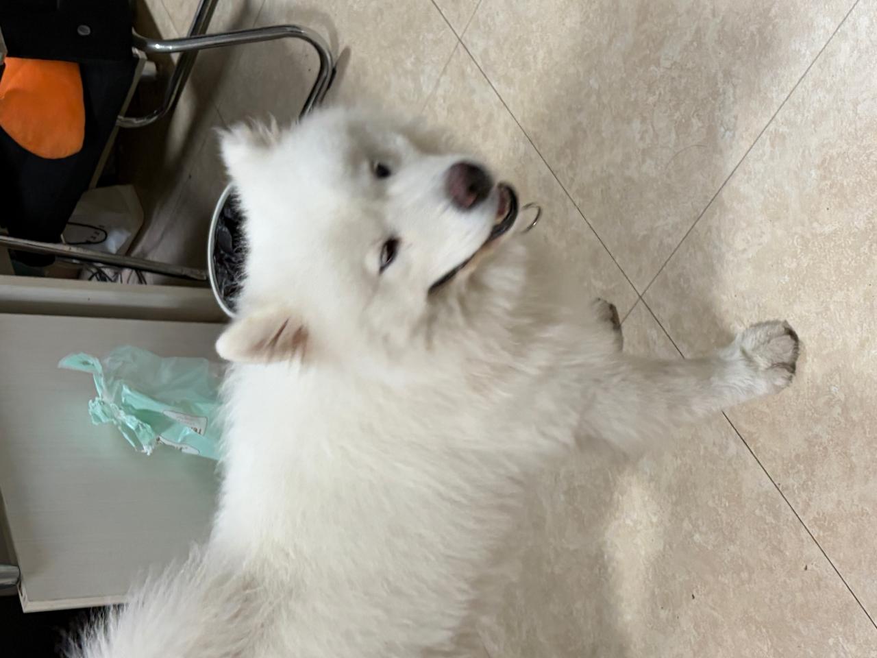 #