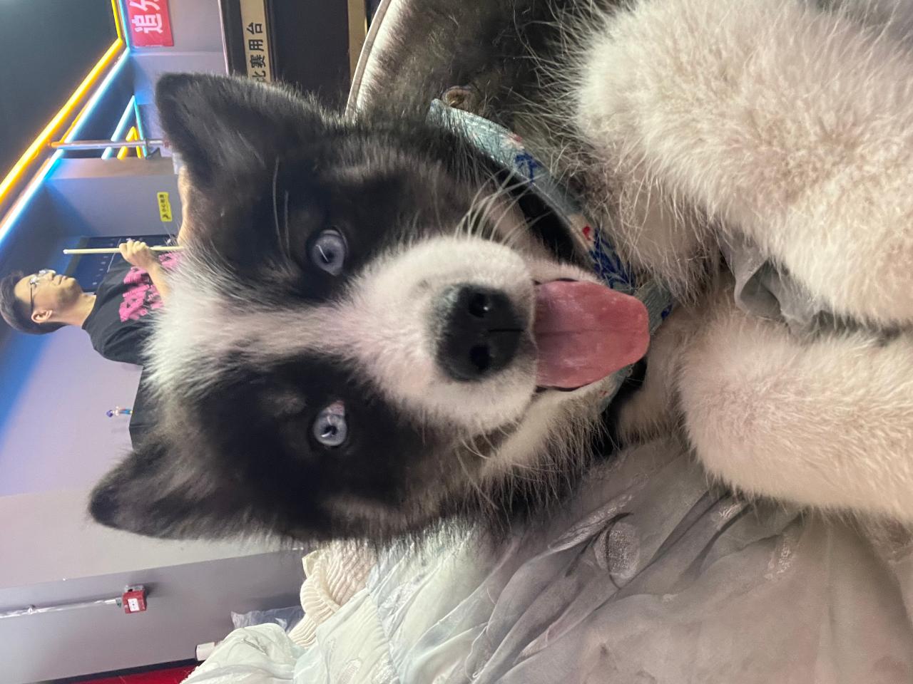 #