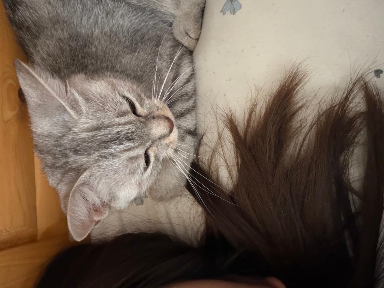 #