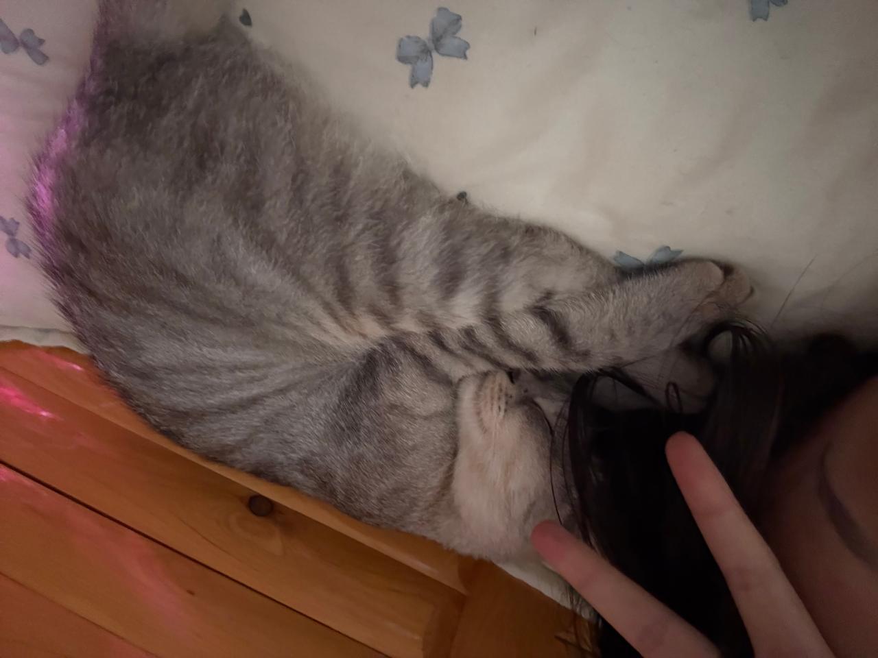 #