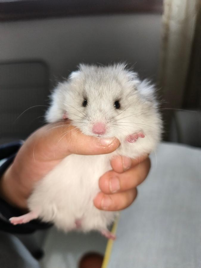 #