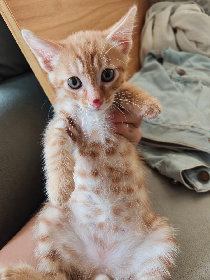 #
