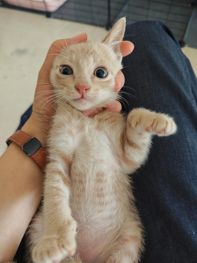 #
