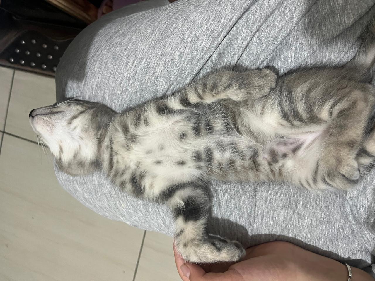 #