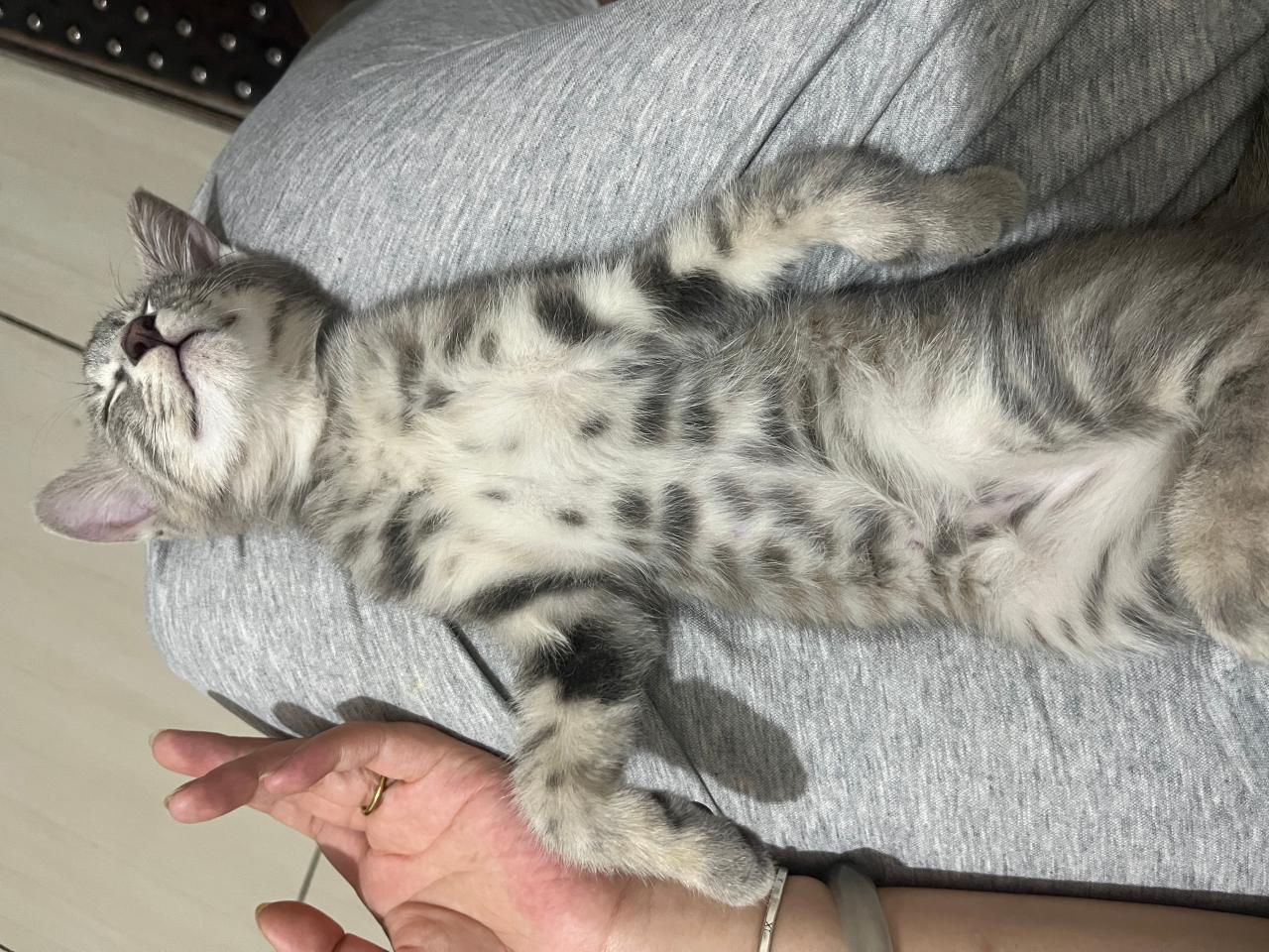 #