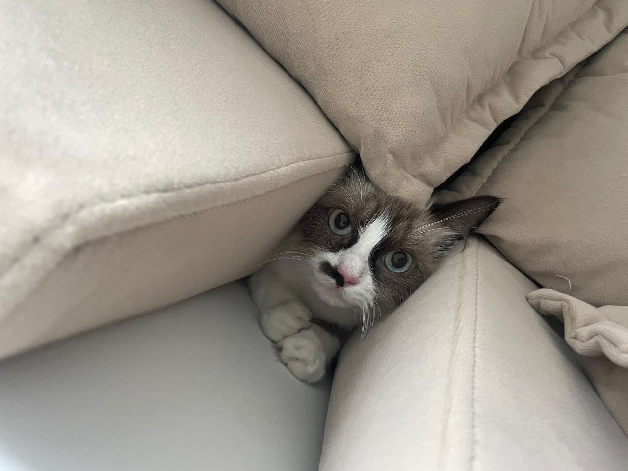 #