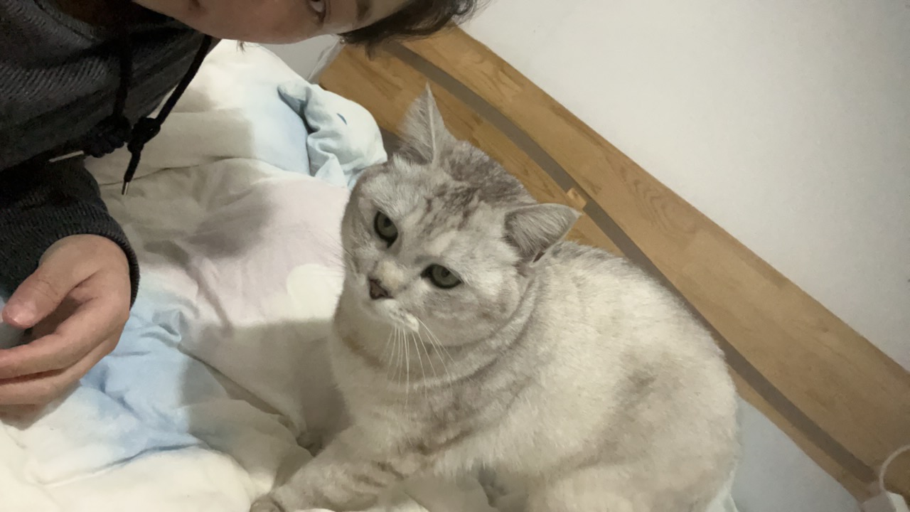 #