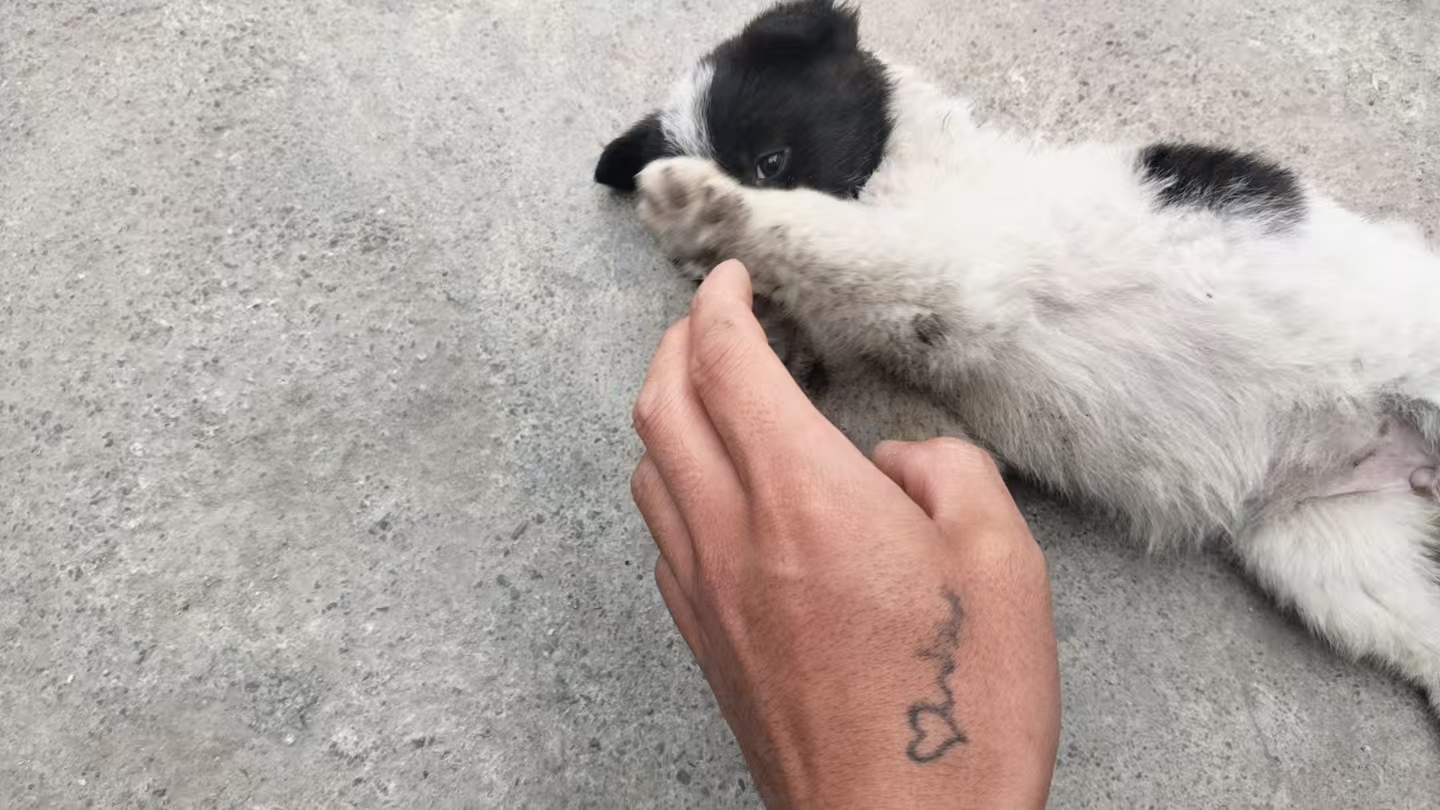 #
