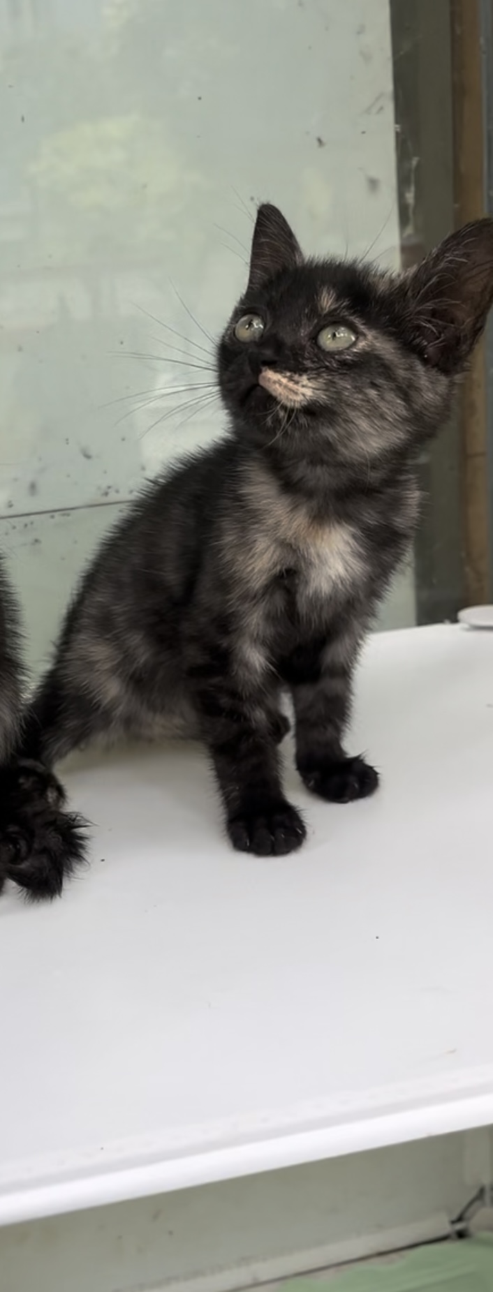 #